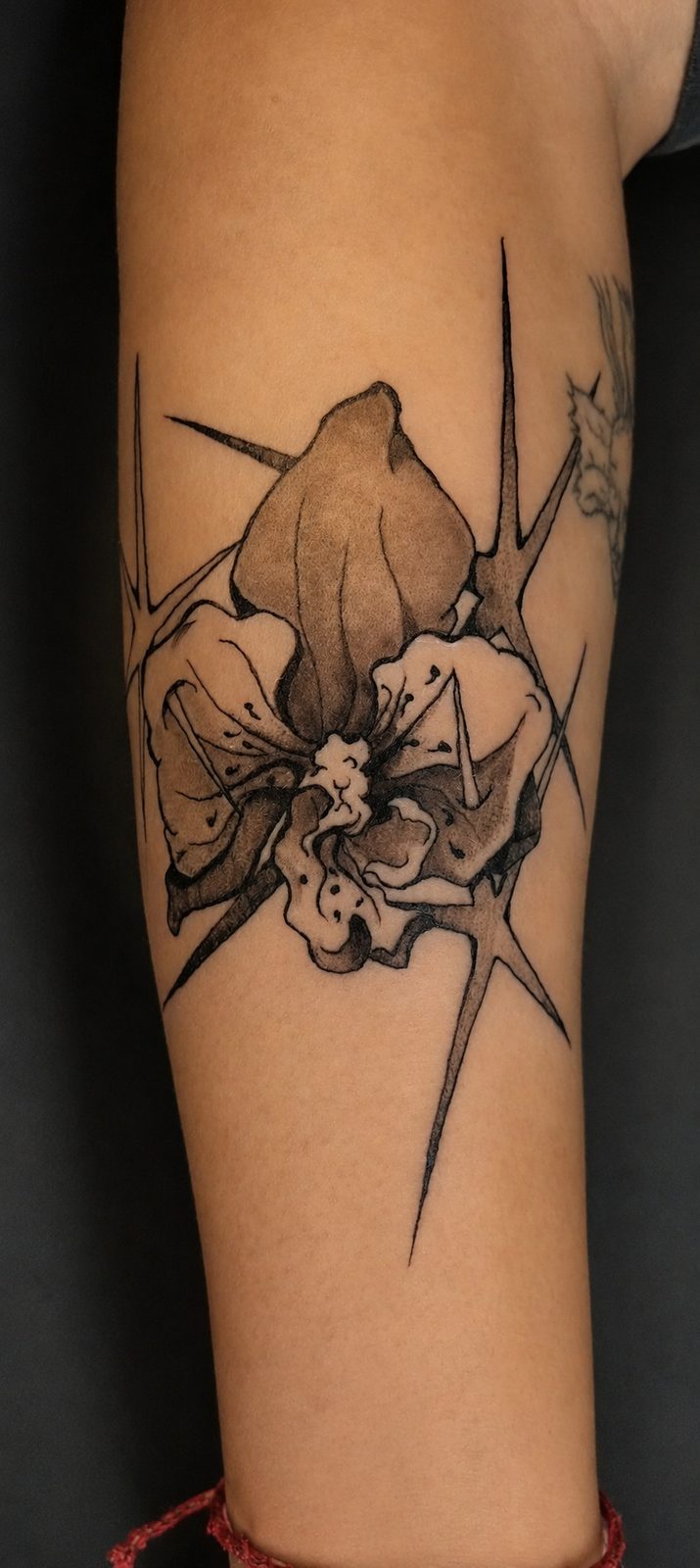 Tatuaje blackwork botánico — pieza 32